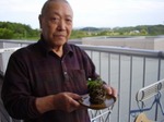 手作りこけ玉